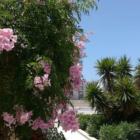 Tenerife Altamar Paradise Playa de las Americas (Tenerife)