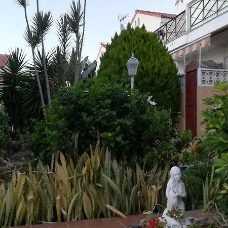 Lejlighed Tenerife Altamar Paradise